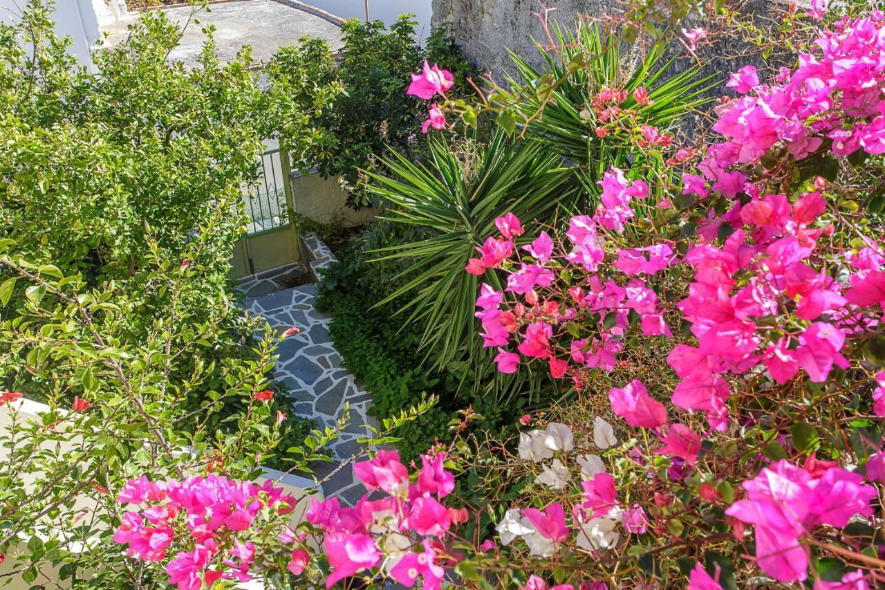 Villa Vienna Kato Viannos Ngoại thất bức ảnh