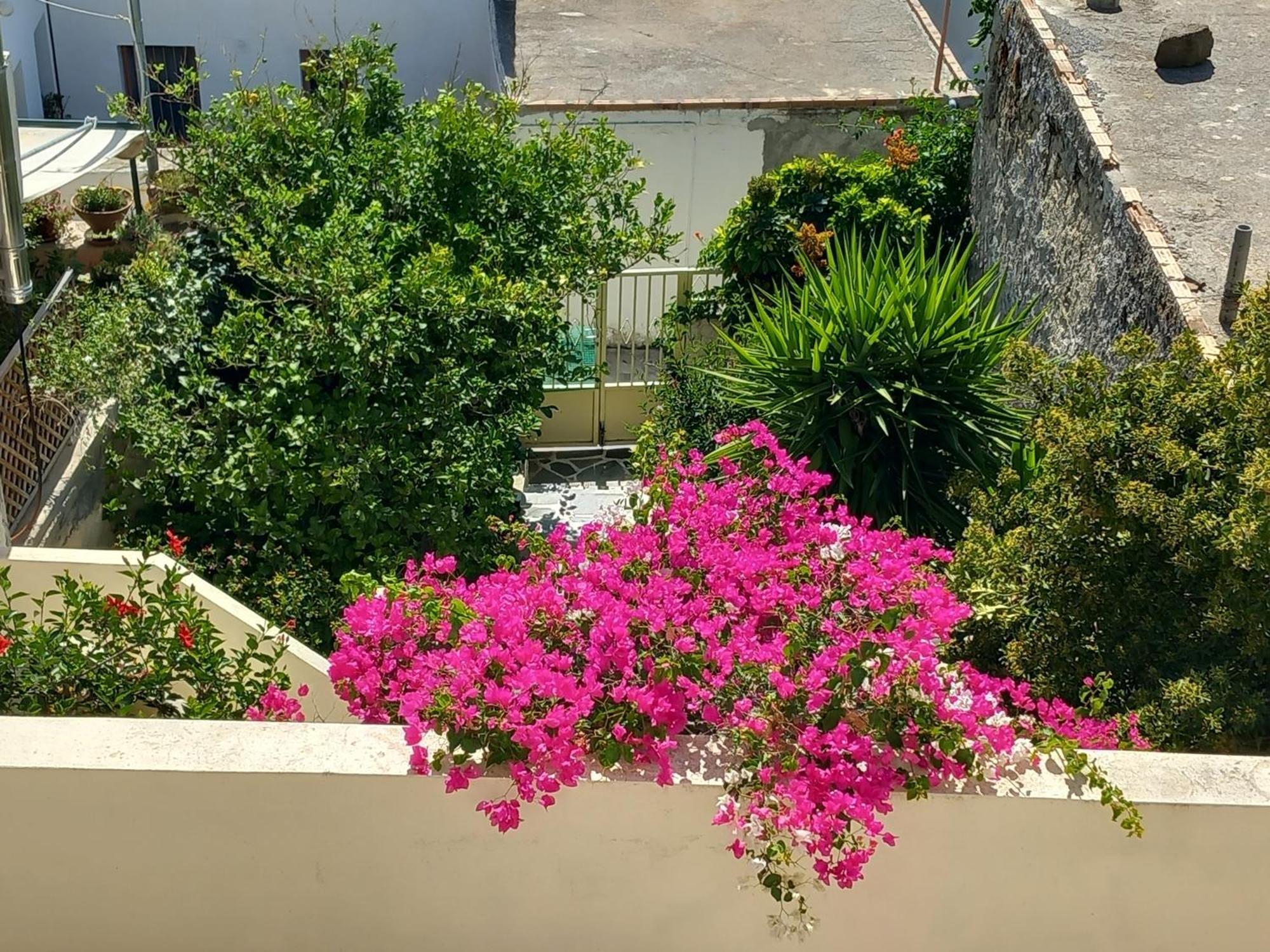 Villa Vienna Kato Viannos Ngoại thất bức ảnh